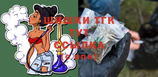 гашик Белоозёрский